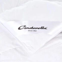Cinderella Sales Store -Cinderella Sales Store 1000063283 0101